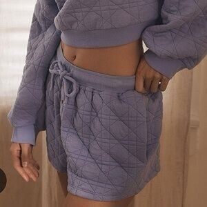Anthropologie Purple Quilted Shorts 💜